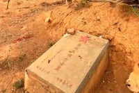 湖南烈士墓地成为养鸡场?当地政府:已经整改完毕